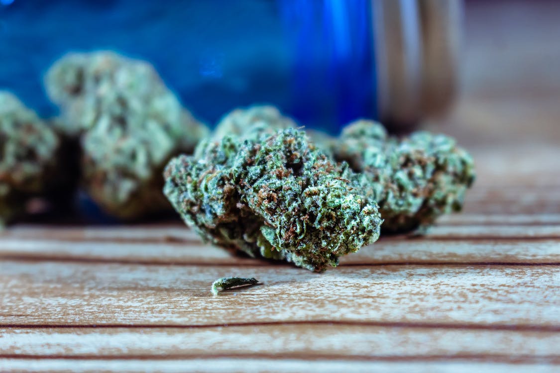 electric-vs-manual-which-herb-grinder-type-should-you-choose